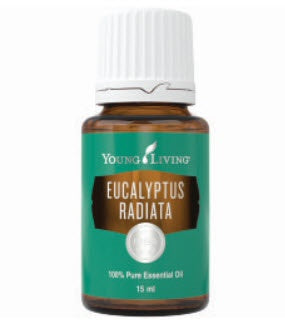 15ml Eucalyptus Radiata