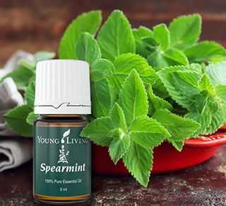 5ml Spearmint